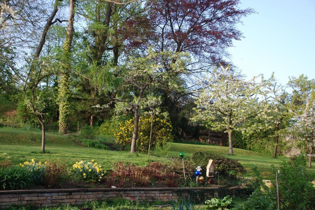 Les Bleuets Vila Scharrachbergheim-Irmstett Quarto foto